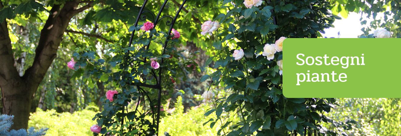Acquista Sostegni Piante su Peragashop