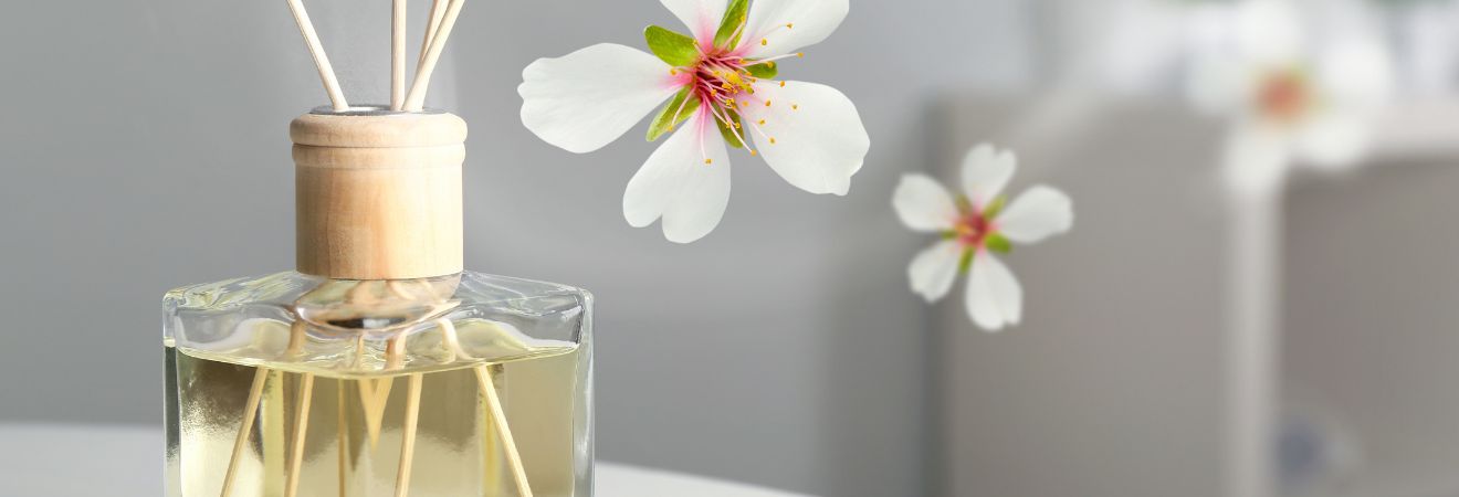 Profumatori Ambienti Acquista Profumatori Ambienti su Peragashop