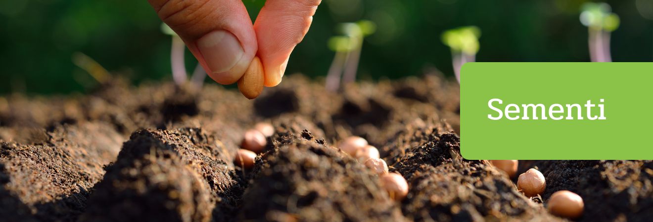 Sementi Acquista Sementi su Peragashop